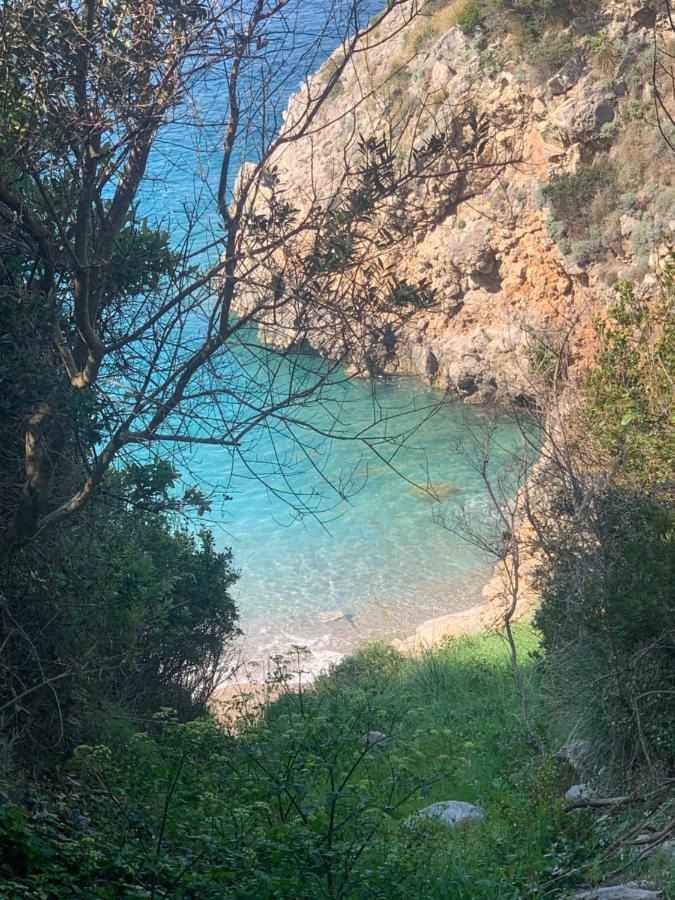 Parco Tasso Guest House Sorrento Bagian luar foto